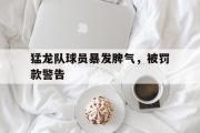 万博APP-猛龙队球员暴发脾气，被罚款警告